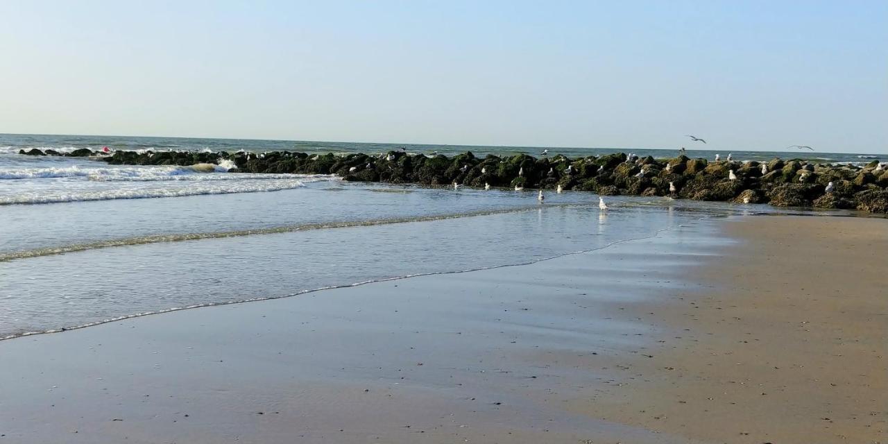 מידלקרק Sunny Bank Westende Zeezicht מראה חיצוני תמונה